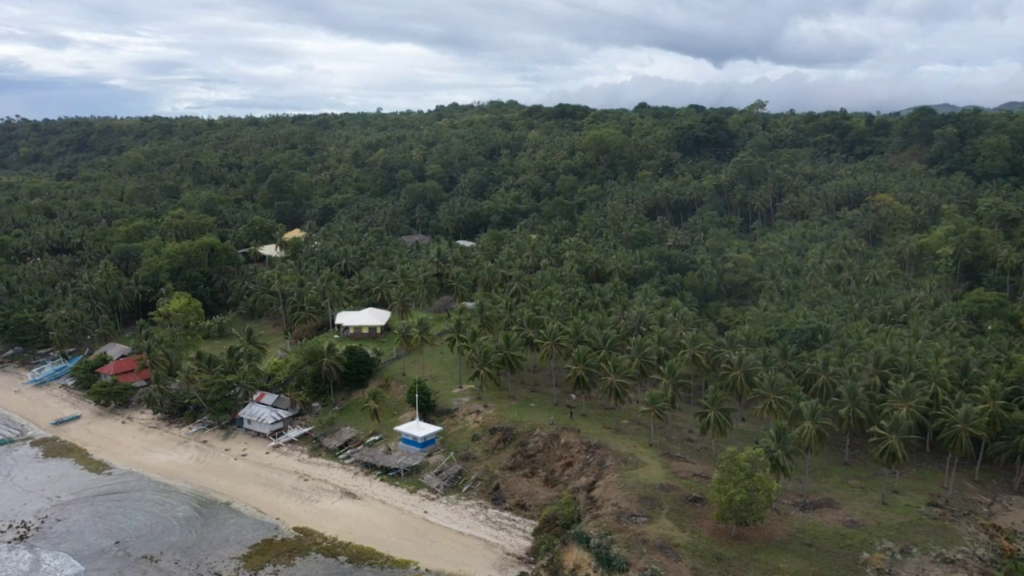 Siquijor Beach Side Lots For Sale SIQ0030 Siquijor Island Realty