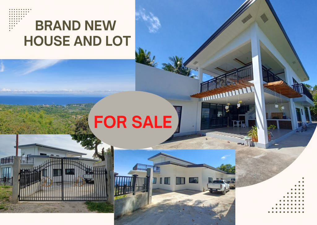 Beautiful Brandnew Elegant House and Lot for Sale in Larena, Siquijor Siquijor Island Realty